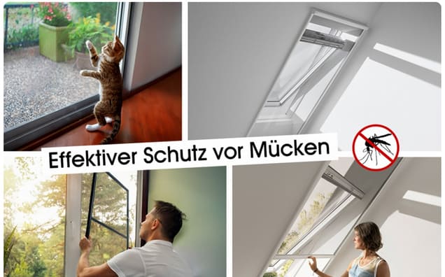 Mückengitter nach Maß: So schützen Sie sich effektiv vor der Plage