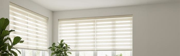 Doppelrollo nach Maß